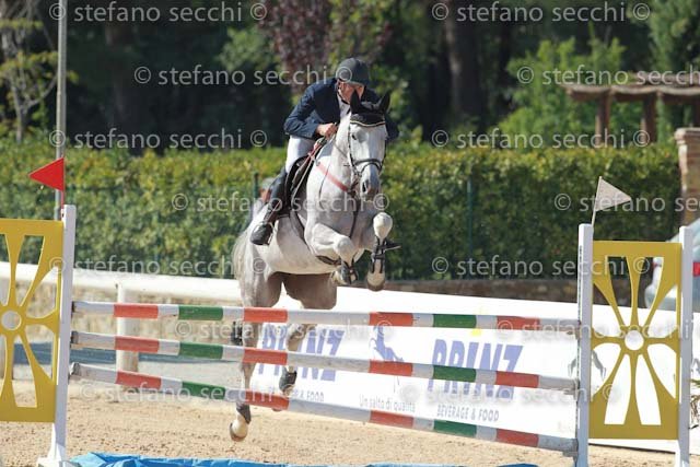 SPROVIERE_SYBILLA_GIO CAV 2011_SS3_7145.jpg